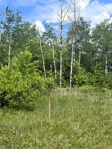 $44,000 | Lot 3-tbd Ponderosa Lane, Waubun, MN 56589