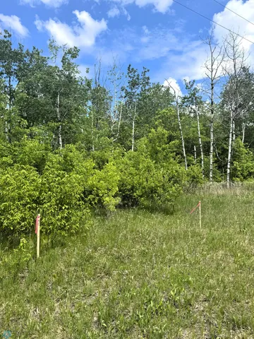 $44,000 | Lot 3-tbd Ponderosa Lane, Waubun, MN 56589