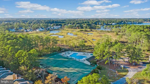a view of a backyard with plants and large trees