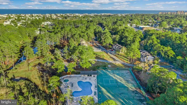 a view of small yard and large trees