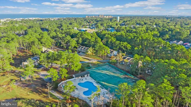 a view of a back yard