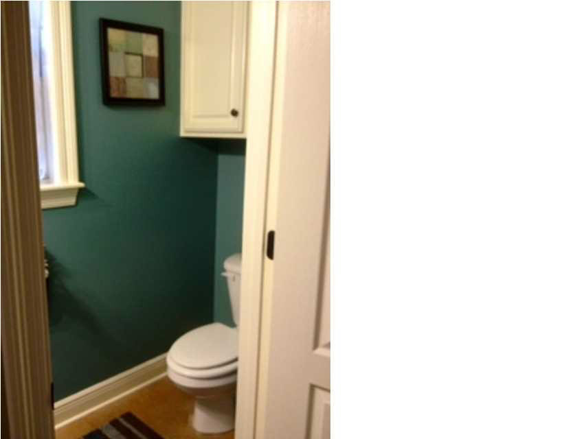 237 McDonald Road Lena, MS 39094 - Photo 11 of 50 Half bath off kitchen for your guests.