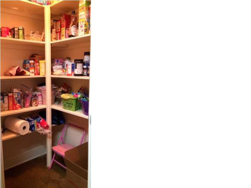 237 McDonald Road Lena, MS 39094 - Photo 25 of 50 Large walk in pantry