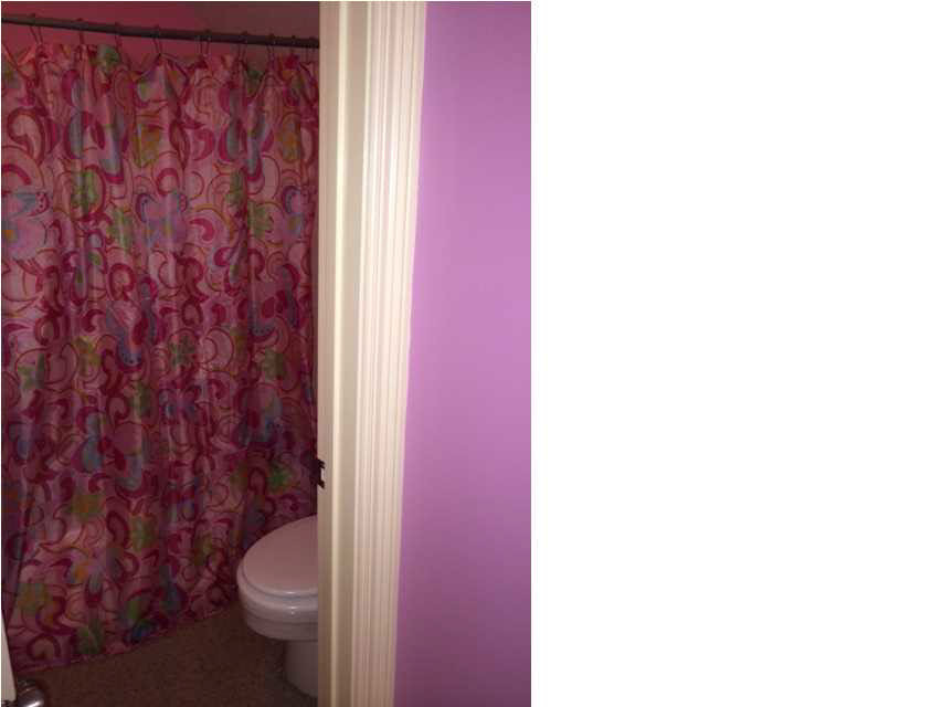 237 McDonald Road Lena, MS 39094 - Photo 39 of 50 Guest bath upstairs