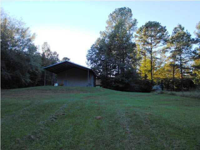 237 McDonald Road Lena, MS 39094 - Photo 46 of 50 Photo 46
