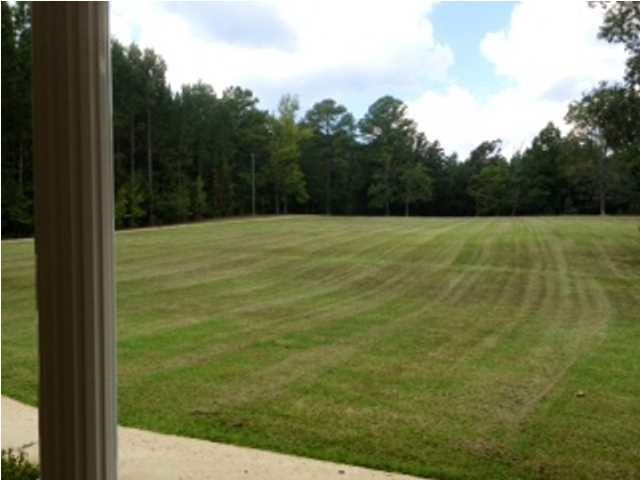 237 McDonald Road Lena, MS 39094 - Photo 8 of 50 Photo 8