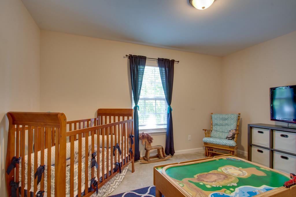 705 Ruby Way White Bluff, TN 37187 - Photo 17 of 19 Bedroom #3