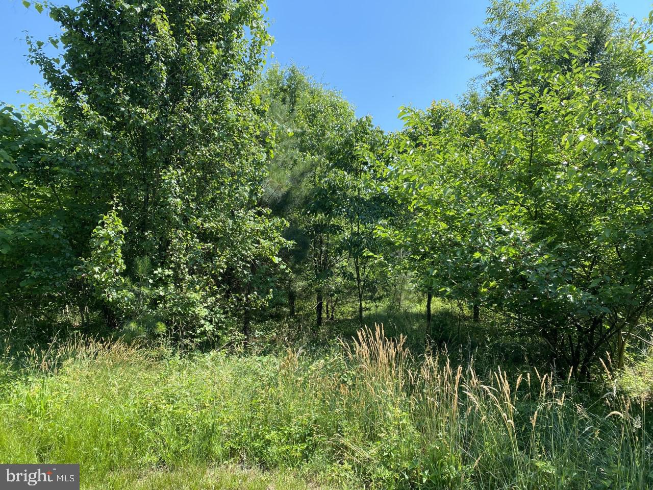 6833 Hunting Creek Road Hurlock, MD 21643 - Photo 4 of 12 Gallery Image 4