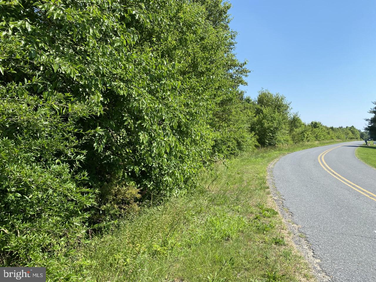 6833 Hunting Creek Road Hurlock, MD 21643 - Photo 5 of 12 Road frontage