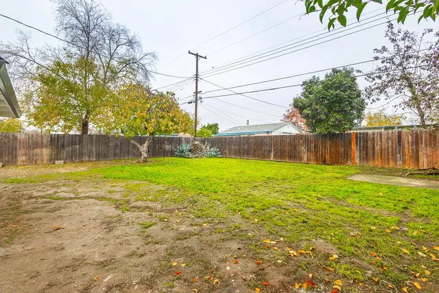 a view of a yard with a large tree