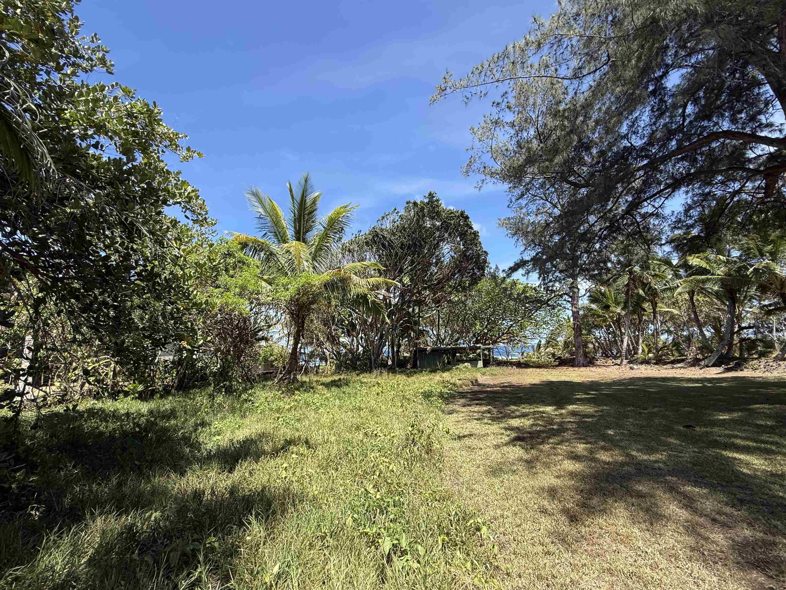 495 Haneoo Road Hana, HI 96713 - Photo 4 of 10