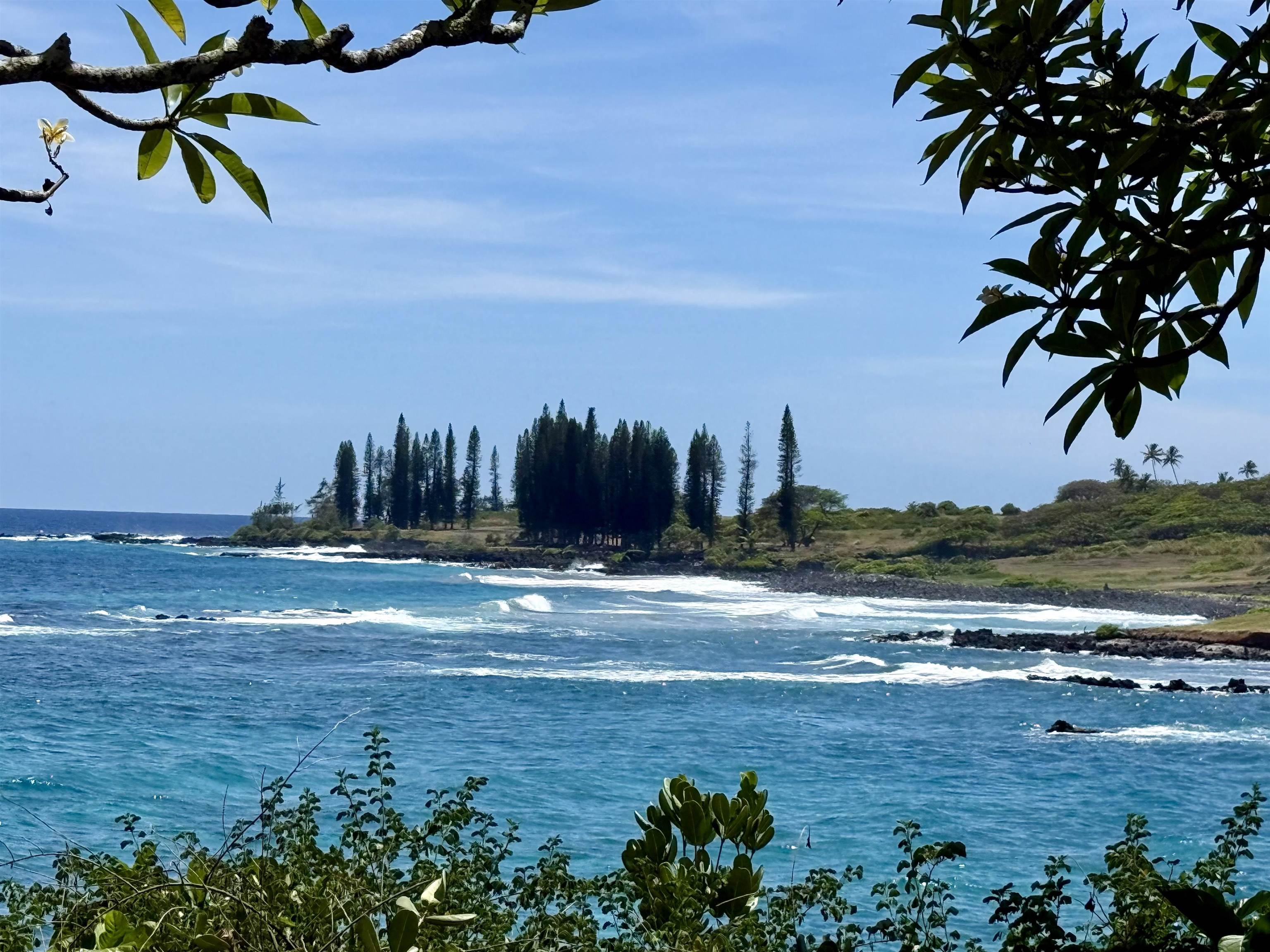 495 Haneoo Road Hana, HI 96713 - Photo 9 of 10