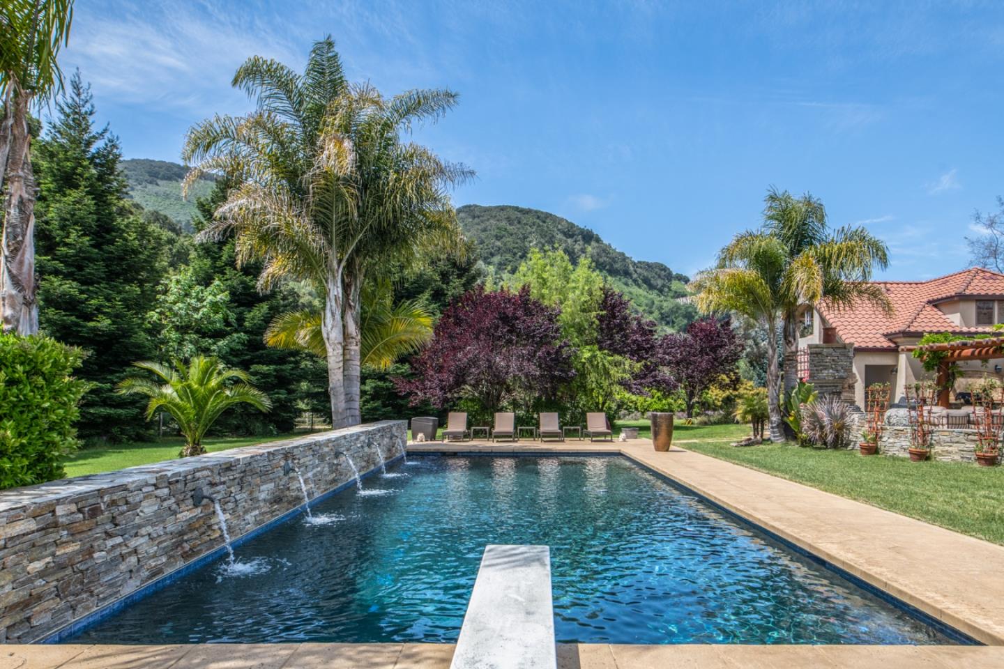 8630 River Meadows Road Carmel, CA 93923 - Photo 35 of 50 a view of a yard with plants