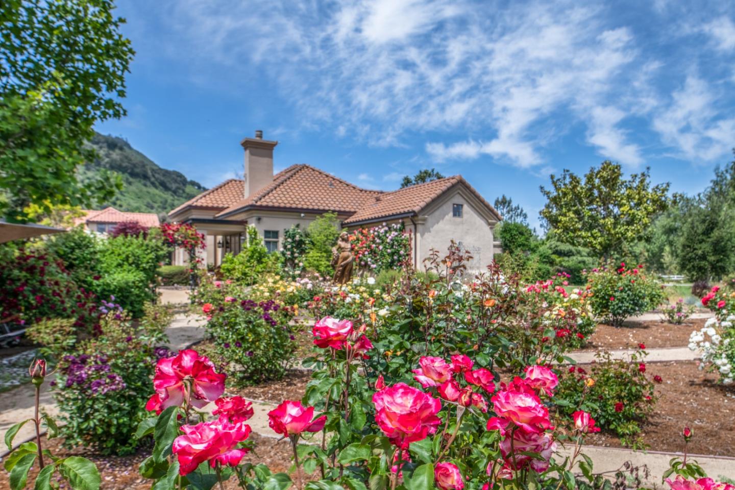 8630 River Meadows Road Carmel, CA 93923 - Photo 45 of 50 a view of a flower in a garden