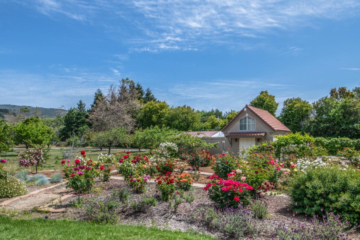 8630 River Meadows Road Carmel, CA 93923 - Photo 47 of 50 a view of a garden with a building in the background