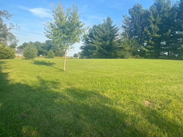 208 Flambeau Lane Dixon, IL 61021 - Photo 4 of 8 a view of an outdoor space and deck