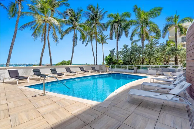 a view of a yard with a palm tree