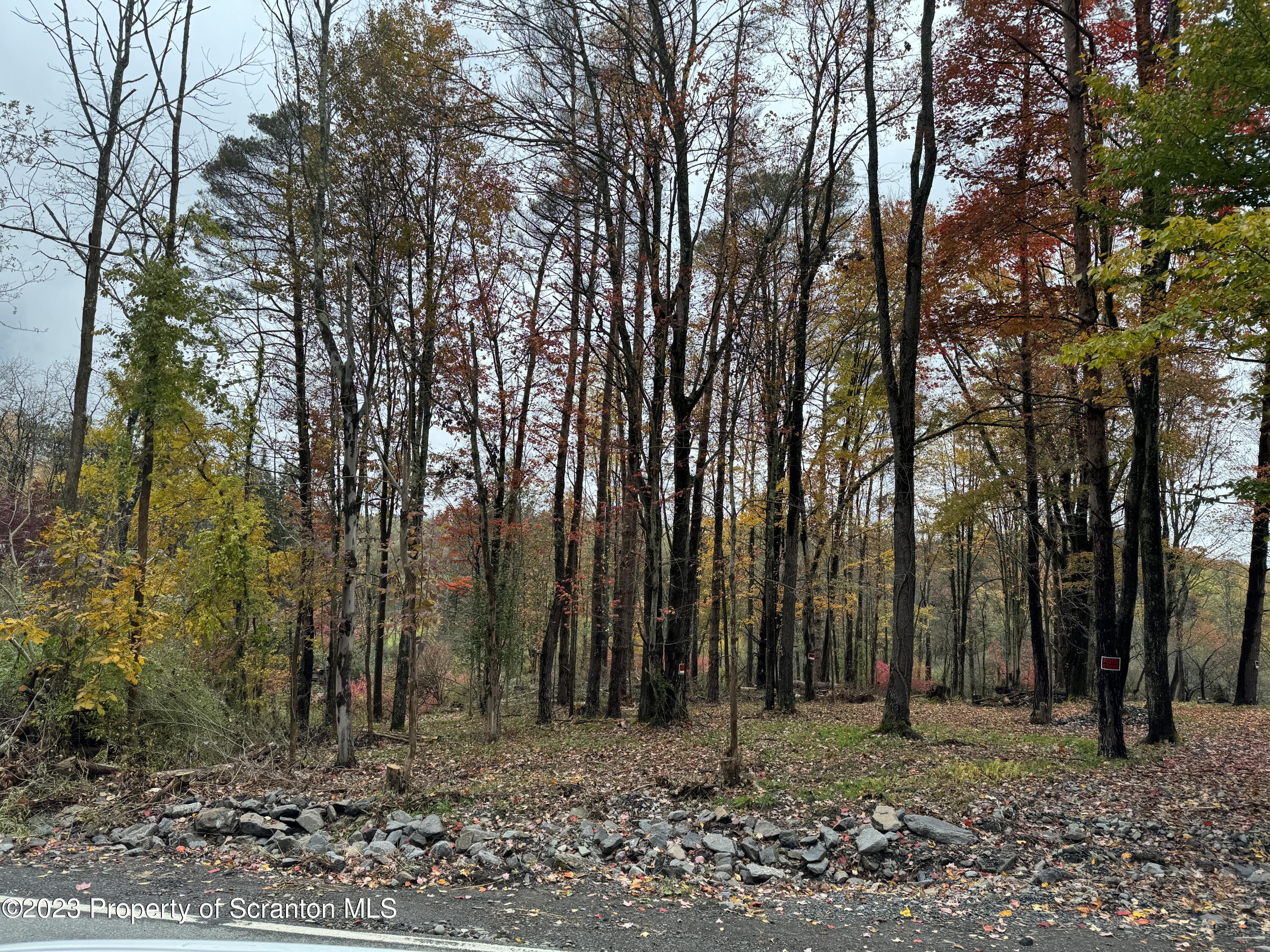 Clinton Street Waverly, PA 18471 - Photo 1 of 3 a backyard of a house with lots of trees