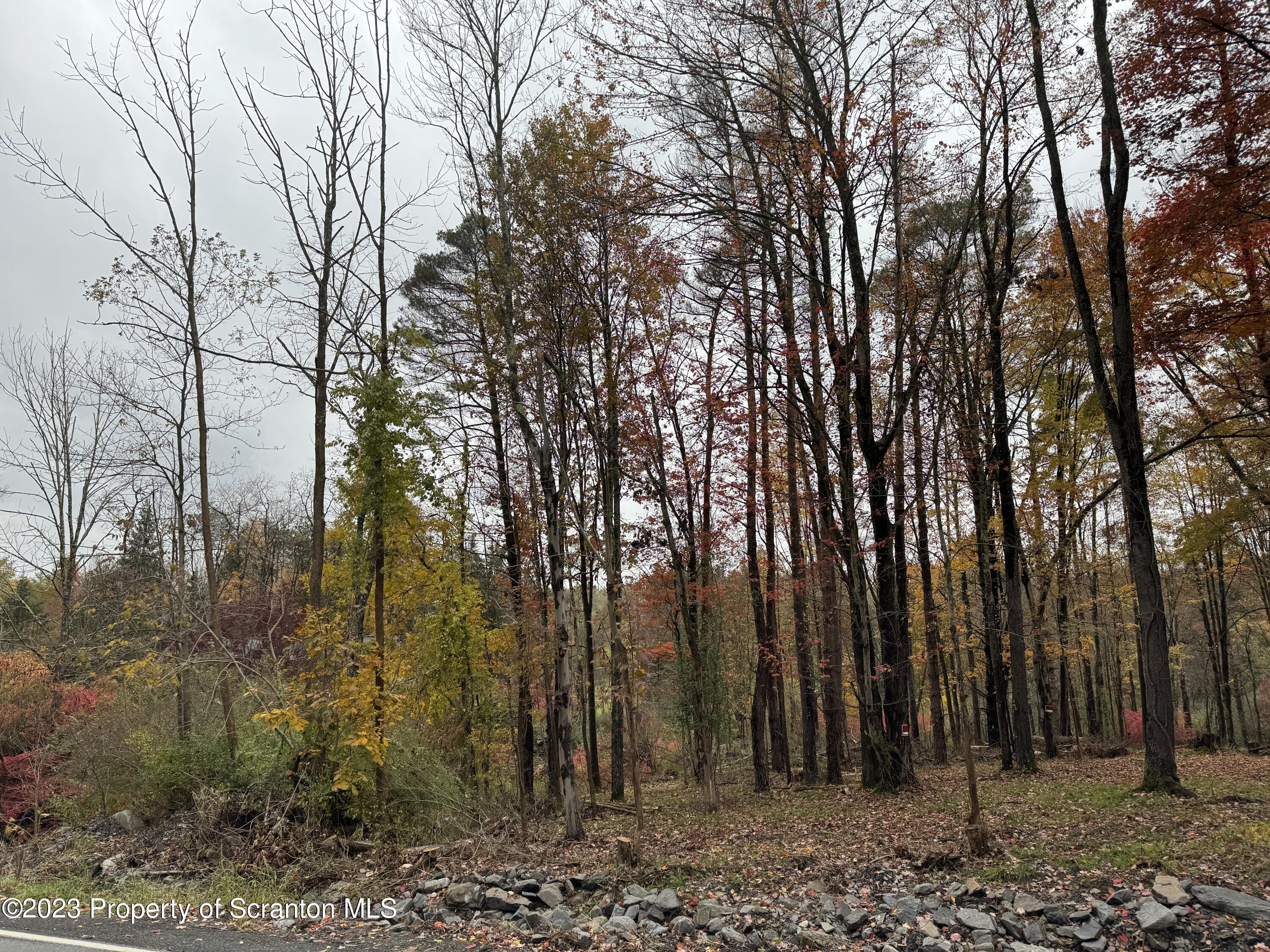 Clinton Street Waverly, PA 18471 - Photo 2 of 3 a view of outdoor space with green space