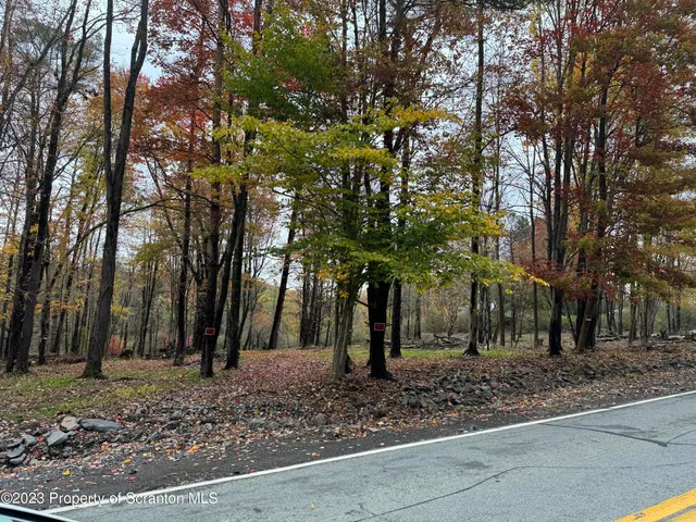 a backyard of a house with lots of trees