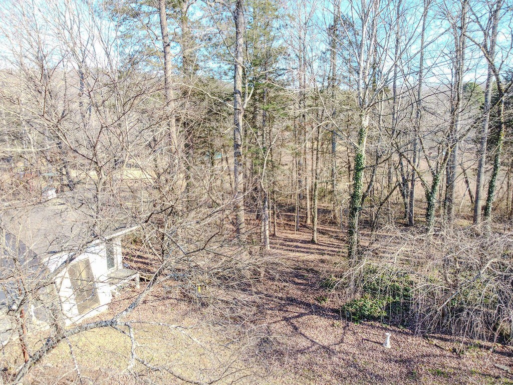197 Lakehaven Circle Decatur, TN 37322 - Photo 13 of 56 Gallery Image 13