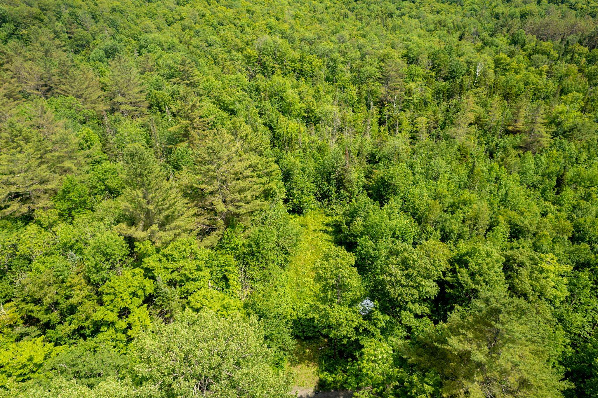 230 Taylor Valley Road Strafford, VT 05072 - Photo 11 of 30