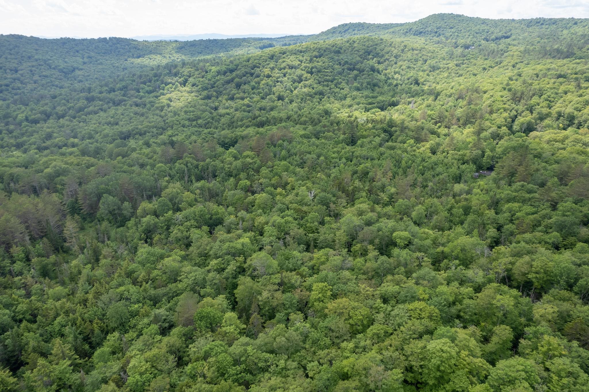 230 Taylor Valley Road Strafford, VT 05072 - Photo 15 of 30