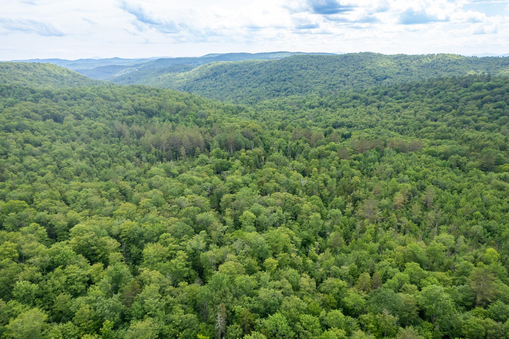 230 Taylor Valley Road Strafford, VT 05072 - Photo 16 of 30