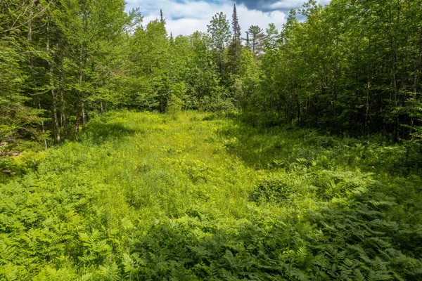$349,000 | 230 Taylor Valley Road, Strafford, VT 05072