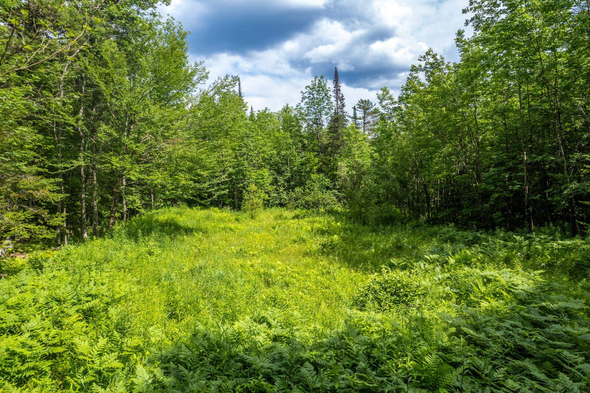 230 Taylor Valley Road Strafford, VT 05072 - Photo 18 of 30