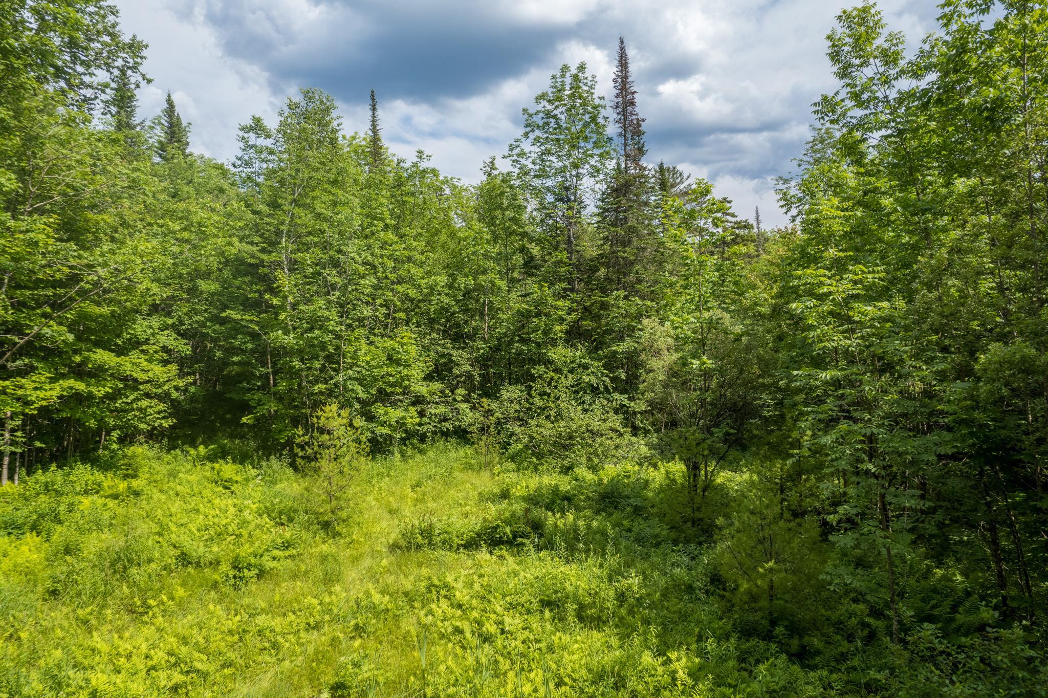 230 Taylor Valley Road Strafford, VT 05072 - Photo 21 of 30