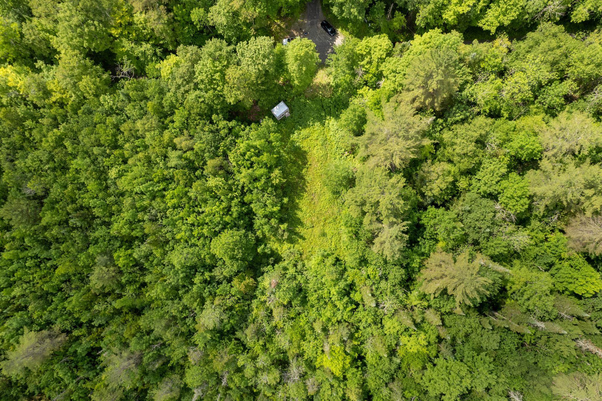 230 Taylor Valley Road Strafford, VT 05072 - Photo 23 of 30