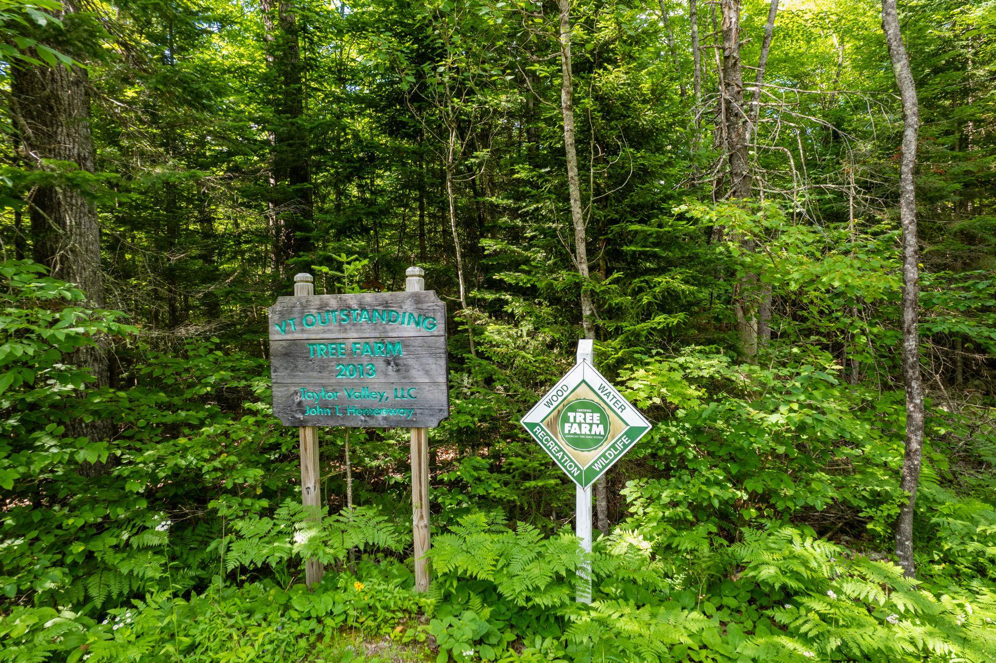230 Taylor Valley Road Strafford, VT 05072 - Photo 24 of 30
