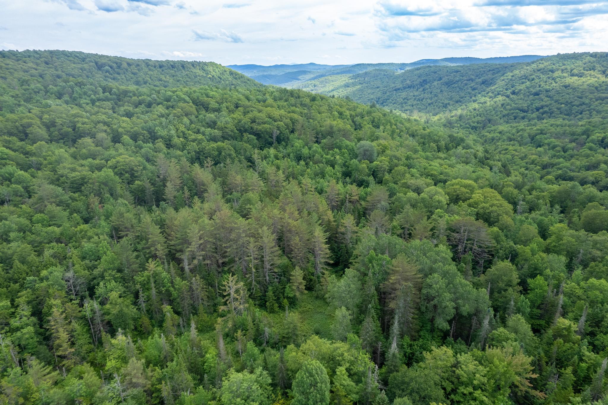 230 Taylor Valley Road Strafford, VT 05072 - Photo 28 of 30