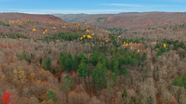 $399,000 | 230 Taylor Valley Road, Strafford, VT 05072