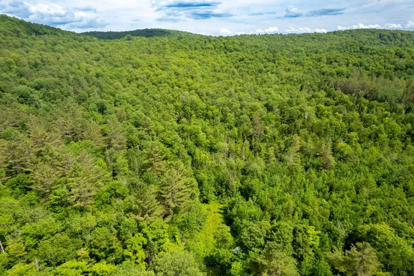 $349,000 | 230 Taylor Valley Road, Strafford, VT 05072