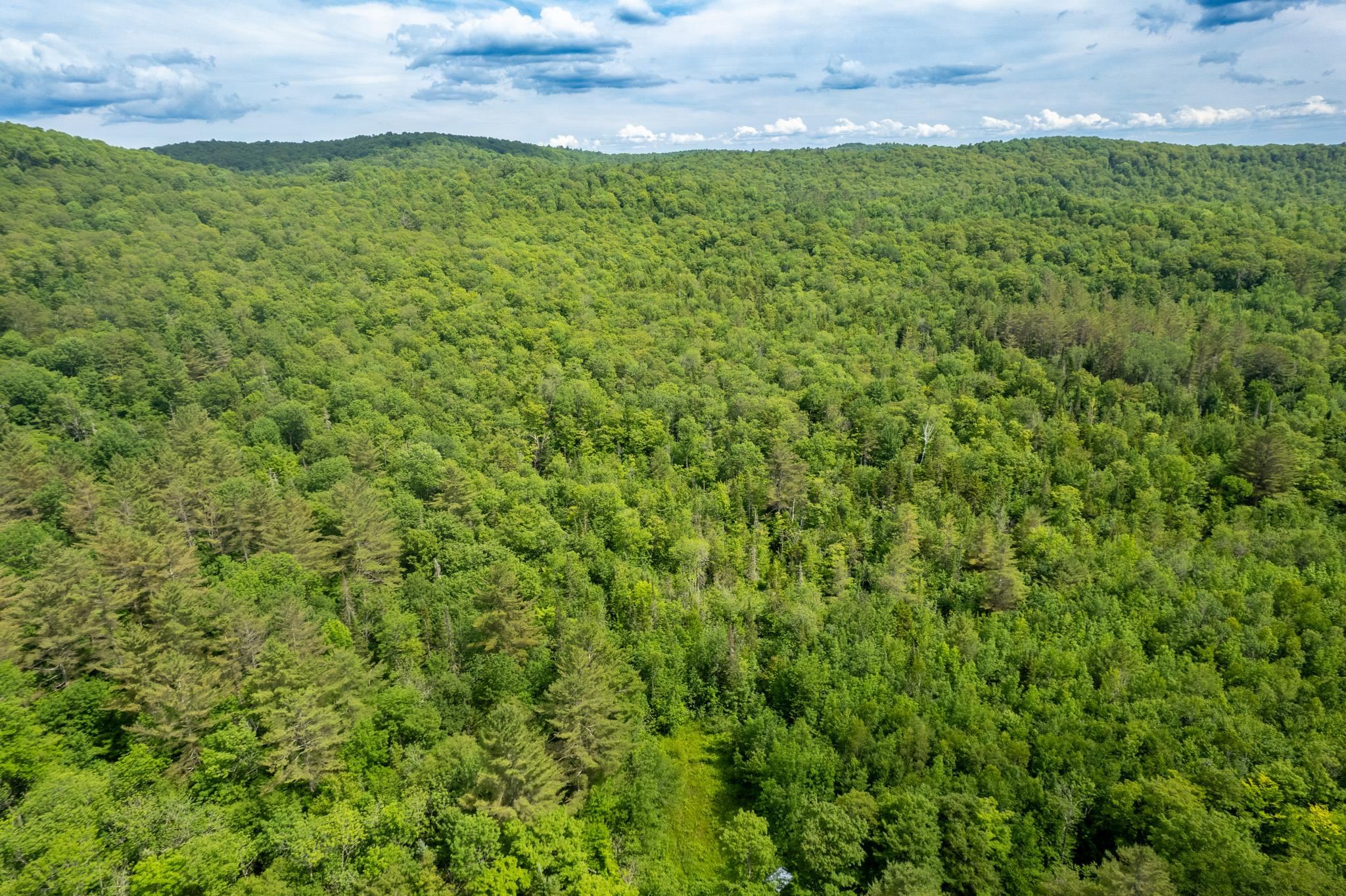 230 Taylor Valley Road Strafford, VT 05072 - Photo 9 of 30
