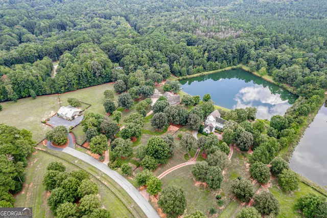 a view of a house with a yard patio and a tree