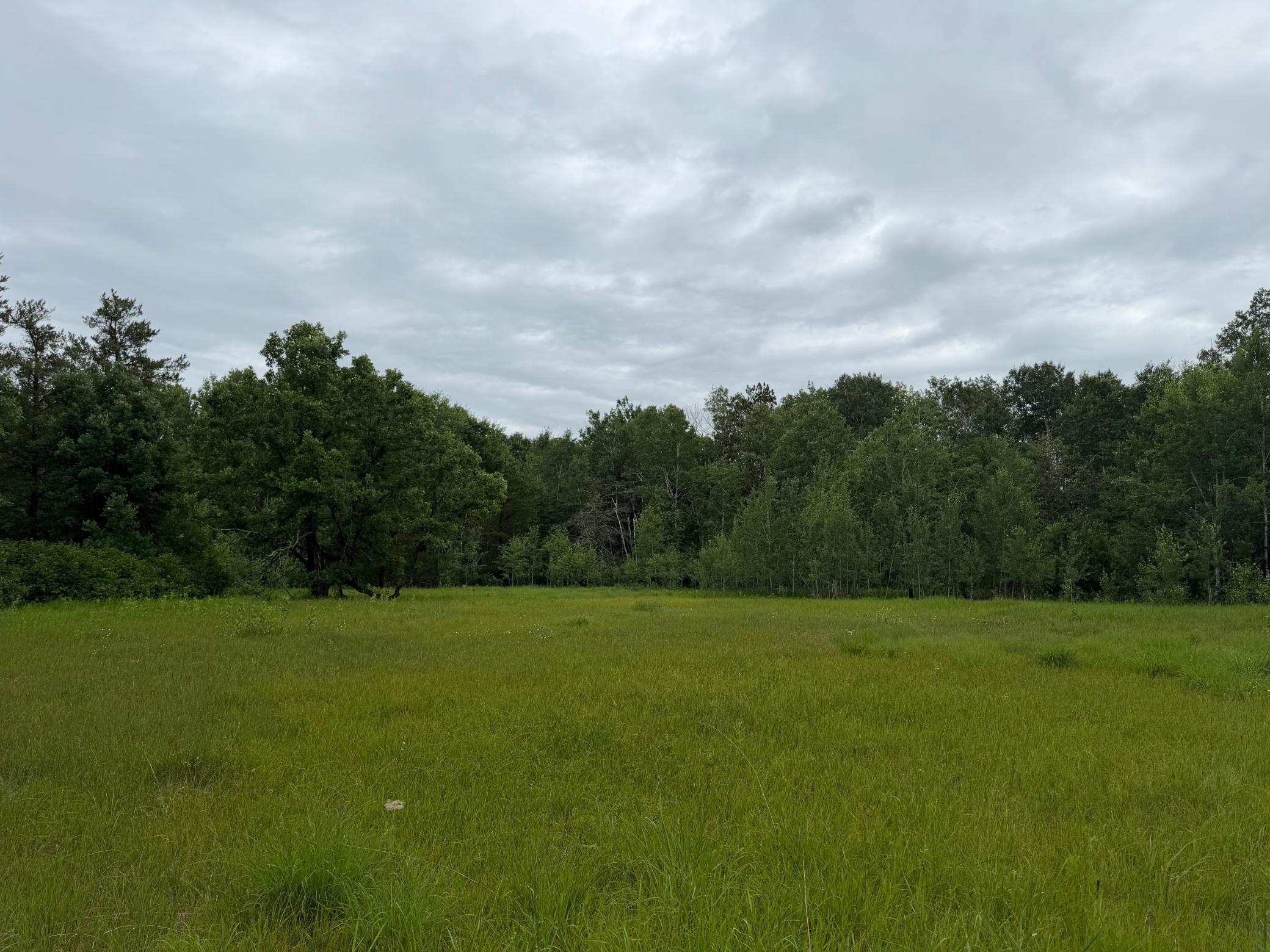 Tbd 350th Street Sebeka, MN 56477 - Photo 66 of 100