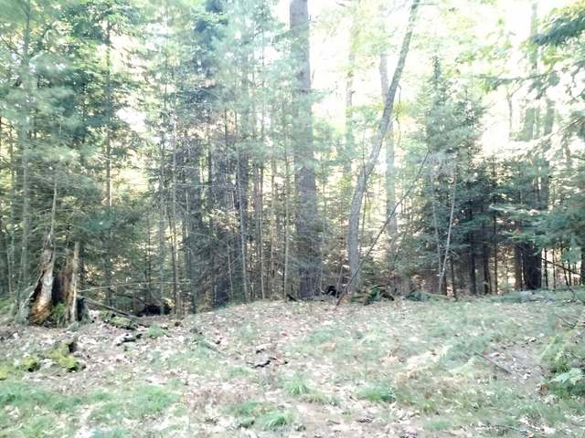 On Shields Road, Unit LOT 1 St. Germain, WI 54558 - Photo 14 of 20 Gallery Image 14