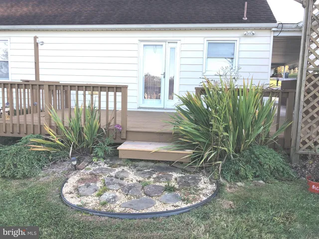a view of a porch with plants