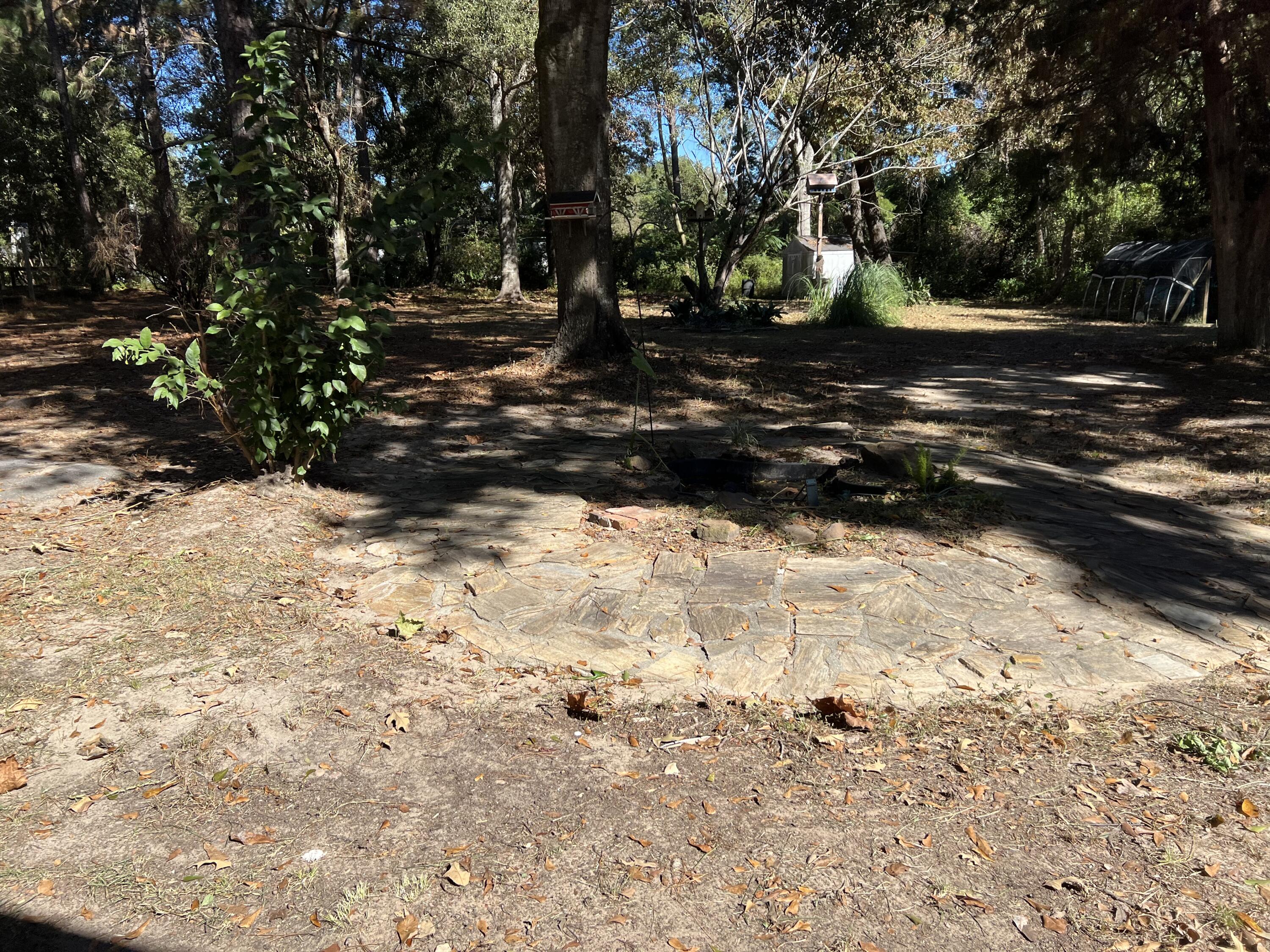 6028 Old Bethel Road Crestview, FL 32536 - Photo 12 of 16 a view of a yard with trees