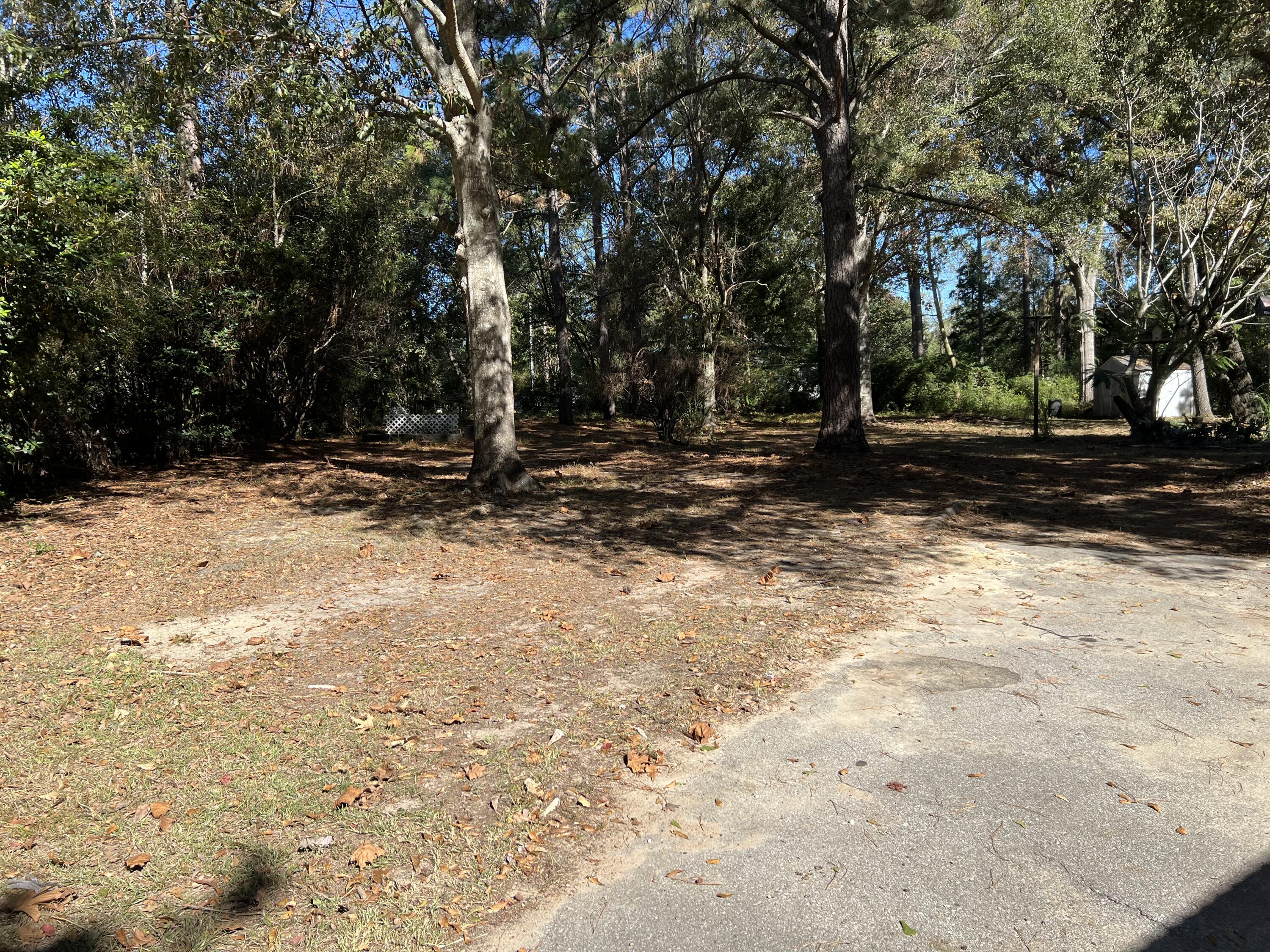 6028 Old Bethel Road Crestview, FL 32536 - Photo 10 of 16 a view of a yard with trees