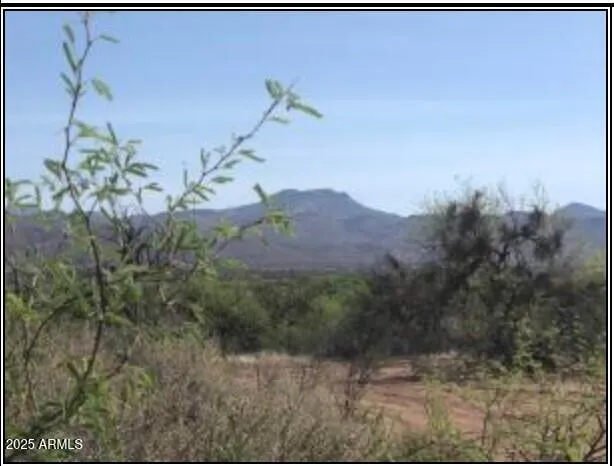 a view of a dry yard with a mountain