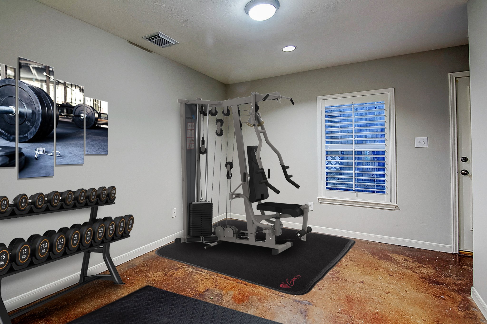 1408 West Webster Street Houston, TX 77019 - Photo 7 of 46 a view of a room with gym equipment