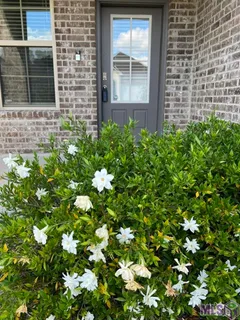 $2,500 | 6708 Tiger Pointe Drive, Baton Rouge, LA 70817