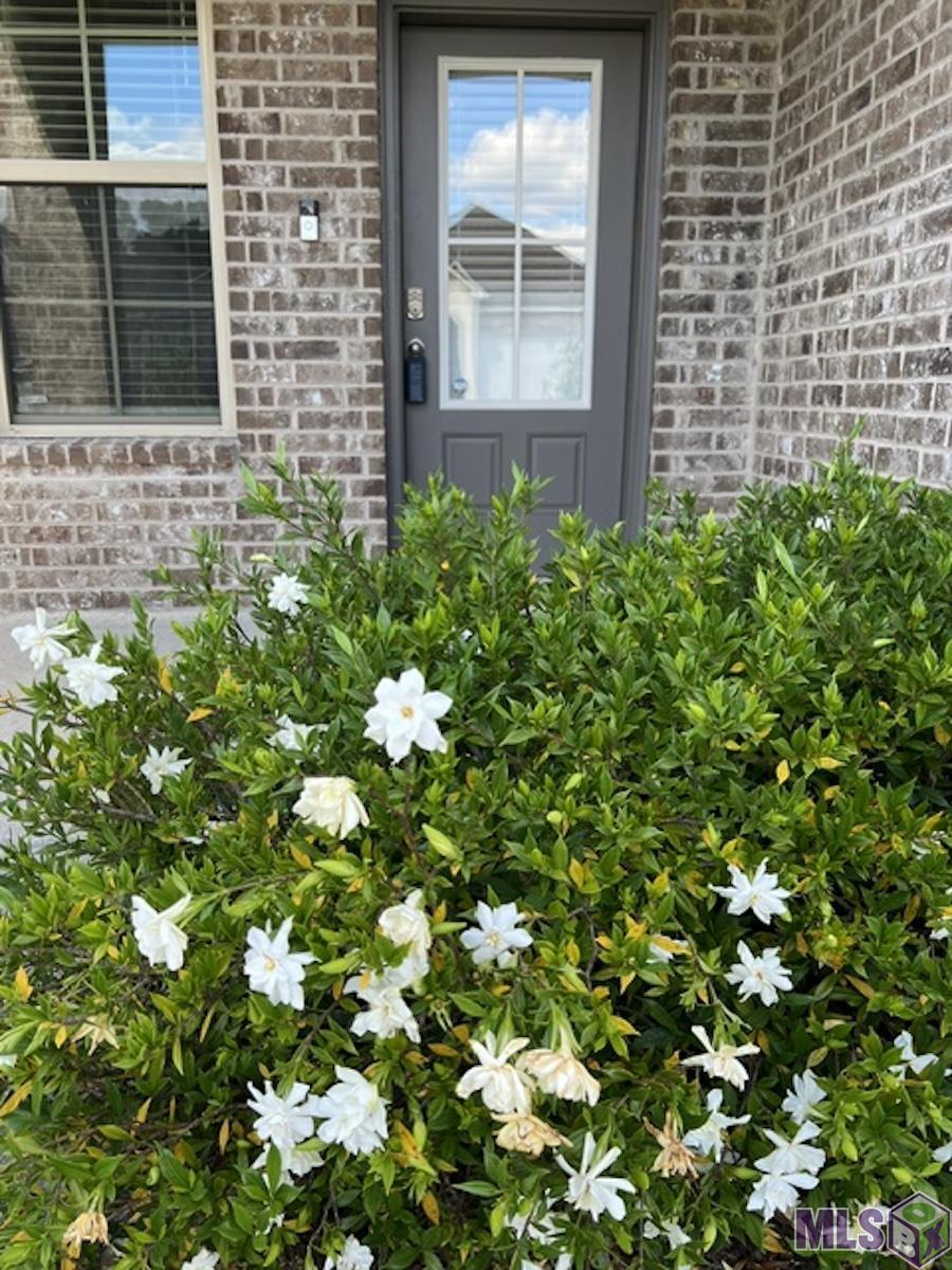 6708 Tiger Pointe Drive Baton Rouge, LA 70817 - Photo 2 of 9