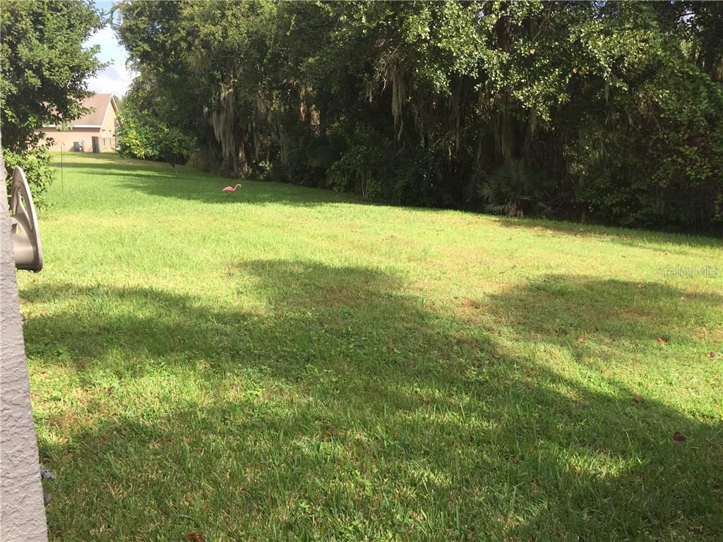 5704 Hawklake Road Lithia, FL 33547 - Photo 22 of 25 Gallery Image 22