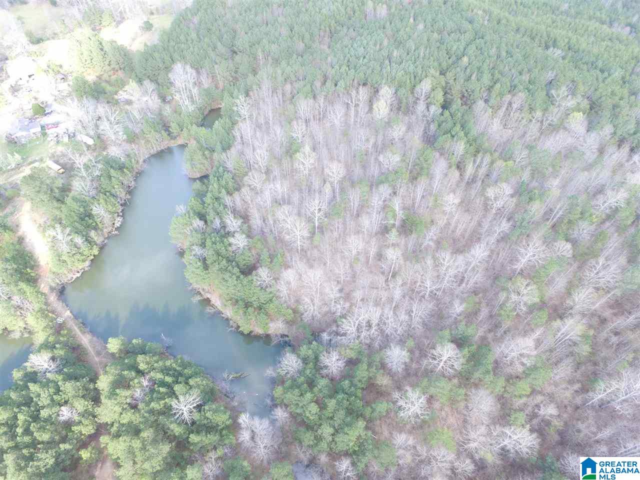 3111 Jackson Road, Unit 75 ACRES Pinson, AL 35126 - Photo 3 of 16
