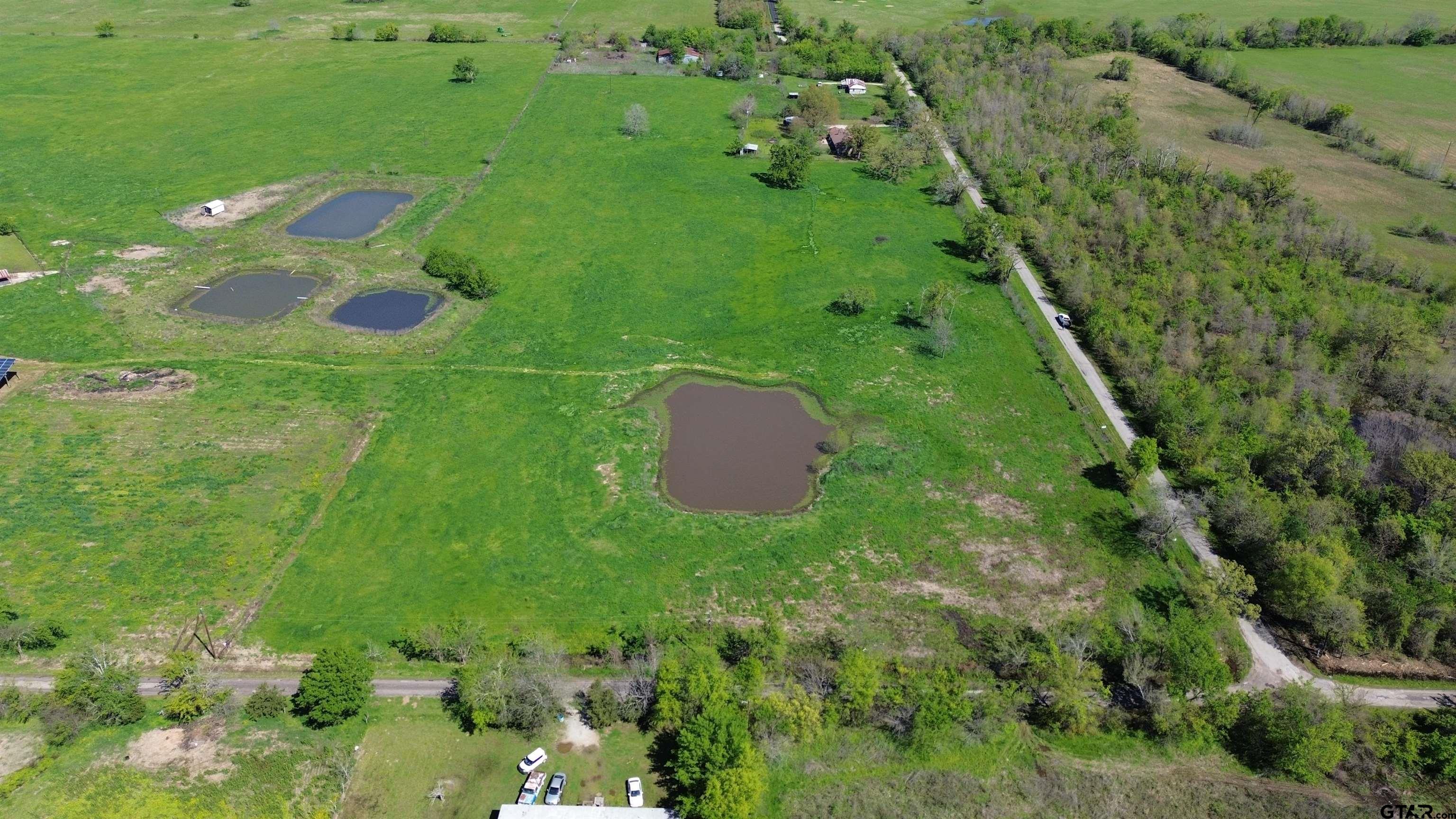 Lot 2 County Road 3410 Emory, TX 75440 - Photo 9 of 27 a green field with lots of plants and trees in the background